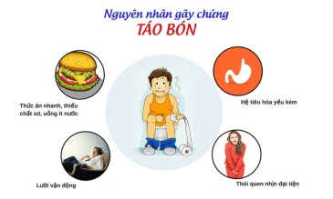 Nguyên nhân, triệu chứng và xử lý khi bị táo bón lâu ngày